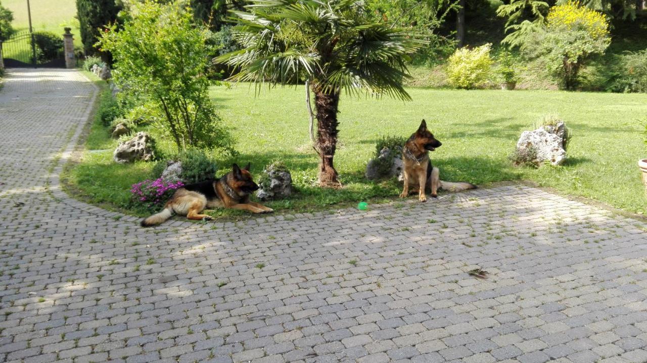 Casina Belvedere Casalecchio Di Reno Dış mekan fotoğraf